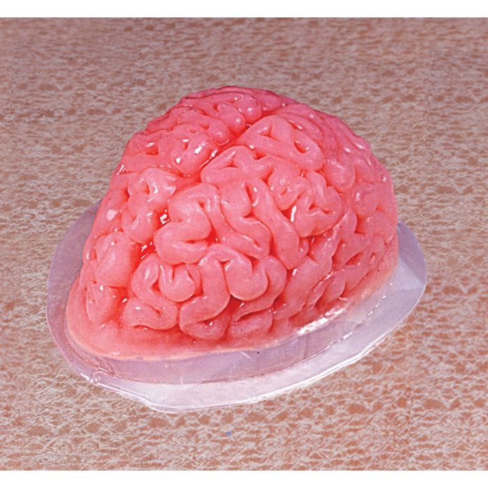 BRAIN GELATIN MOLD