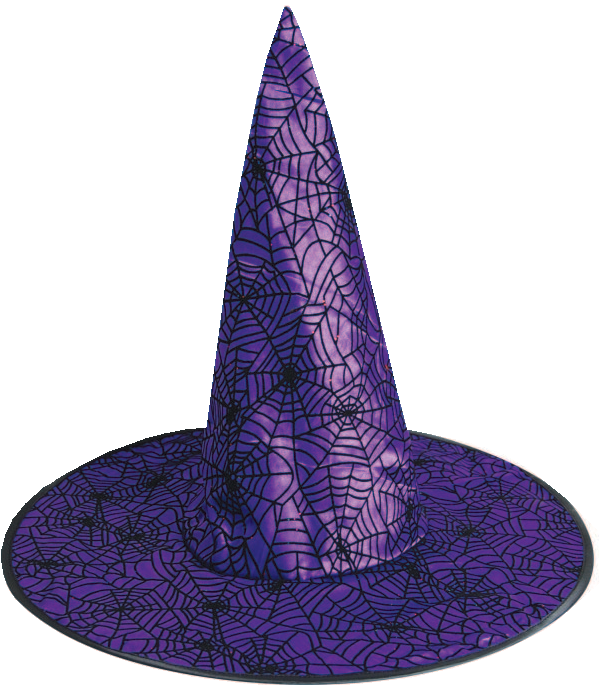 Spiderweb Pattern Witch Hat