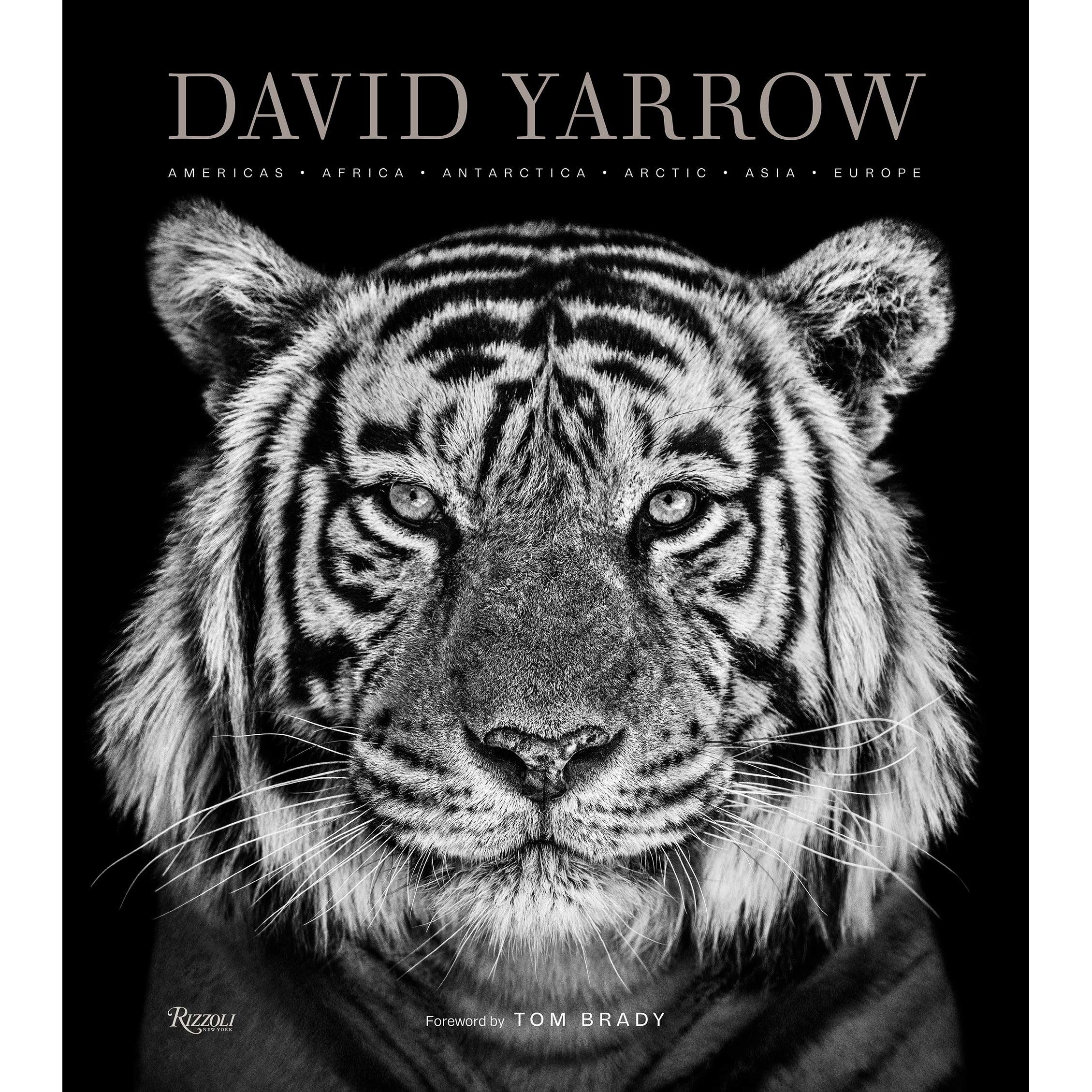 DAVID YARROW BOOK