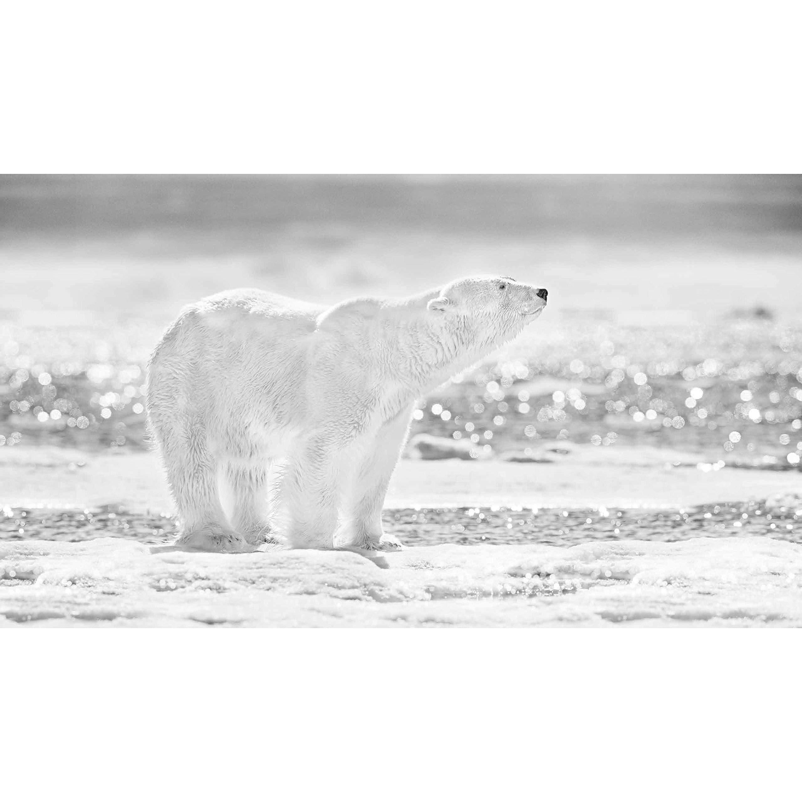 DAVID YARROW BOOK