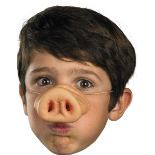 PIG NOSE