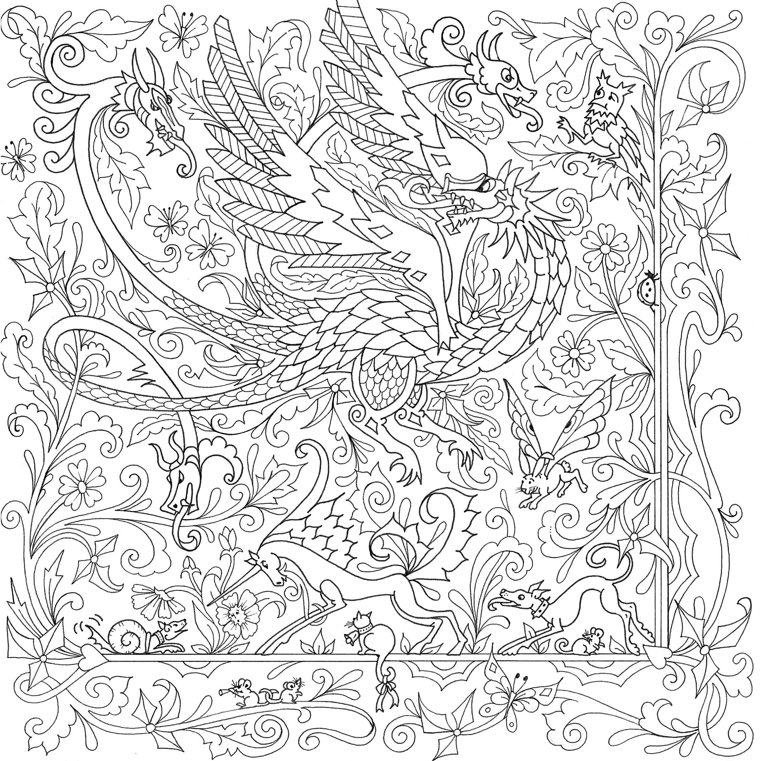 COLORING BOOK DRAGONS