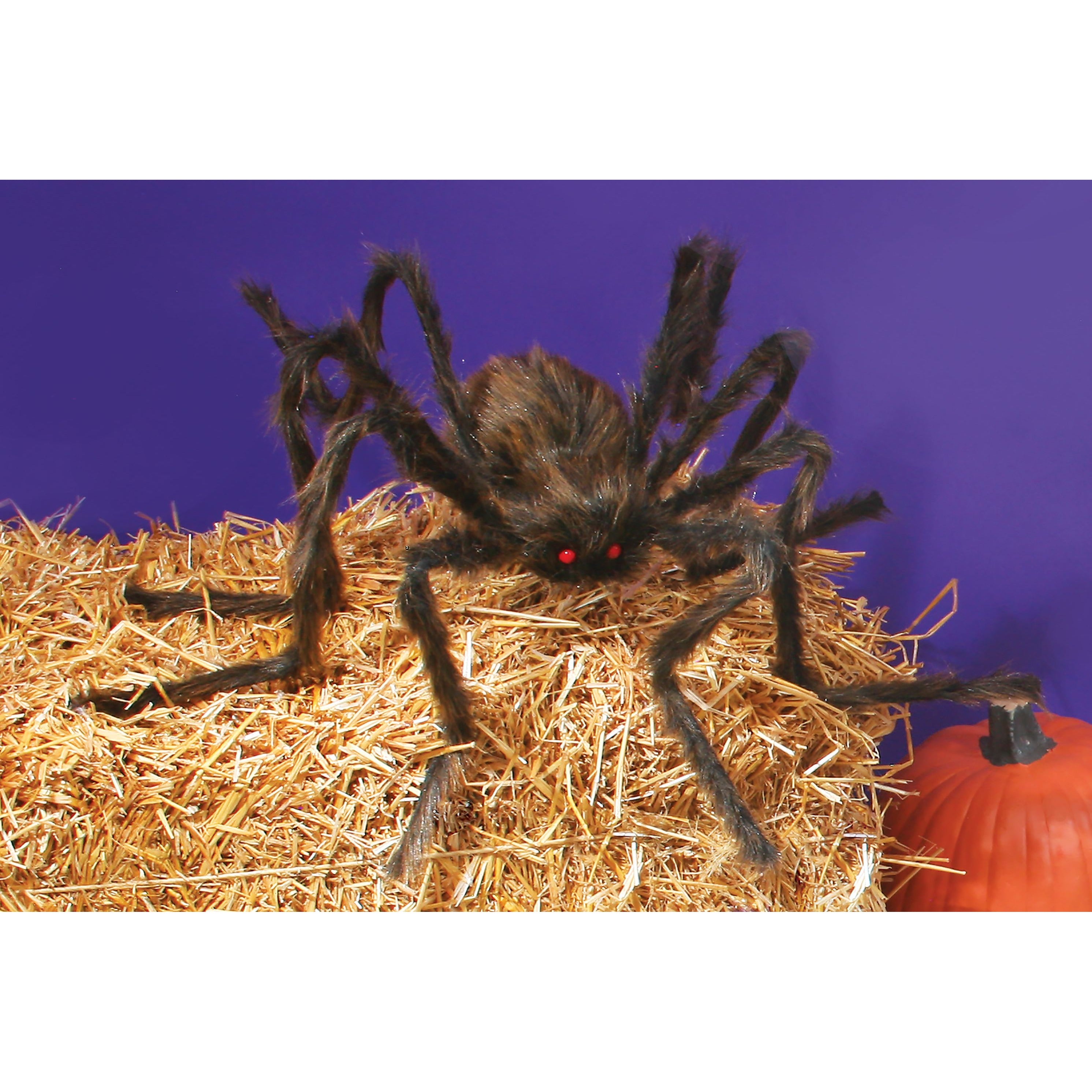 POSABLE HAIRY SPIDER ASST 50"