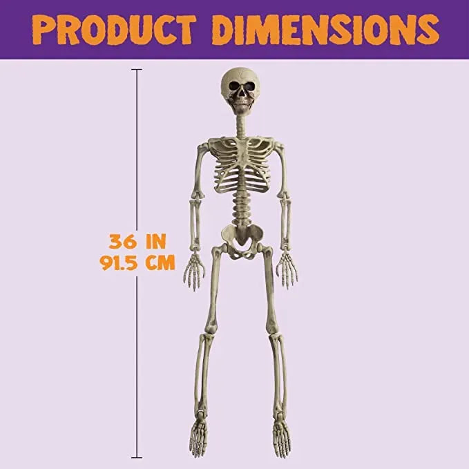 36" Posable Skeleton