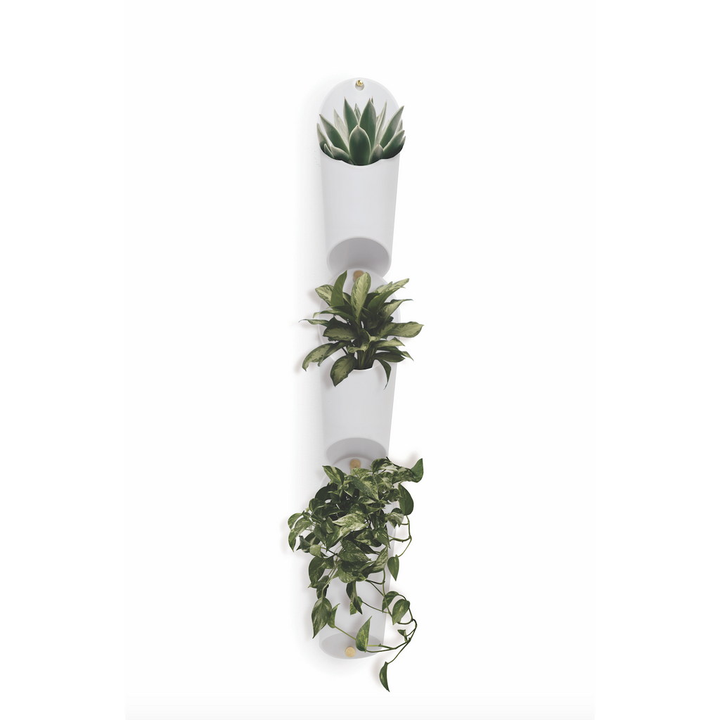 Floralink Wall Vessels and Planter