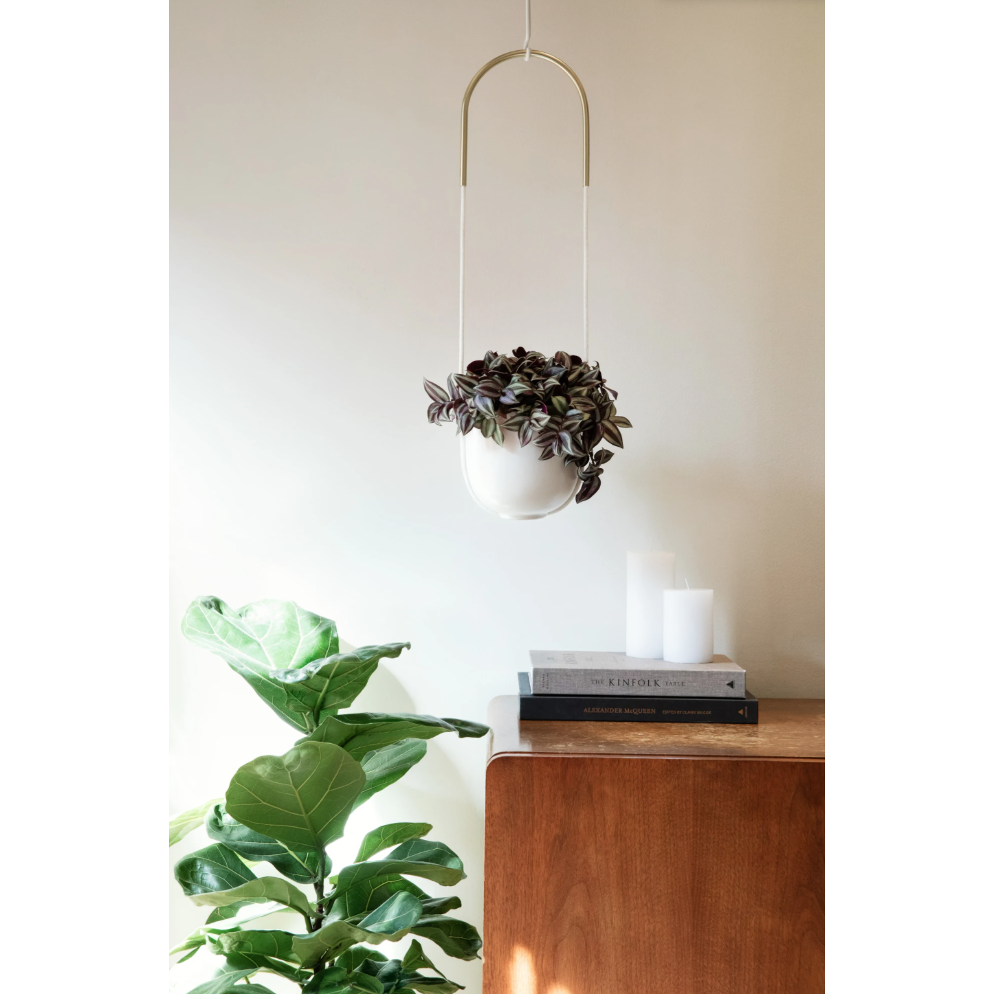 Bolo Hanging & Ceiling Planter