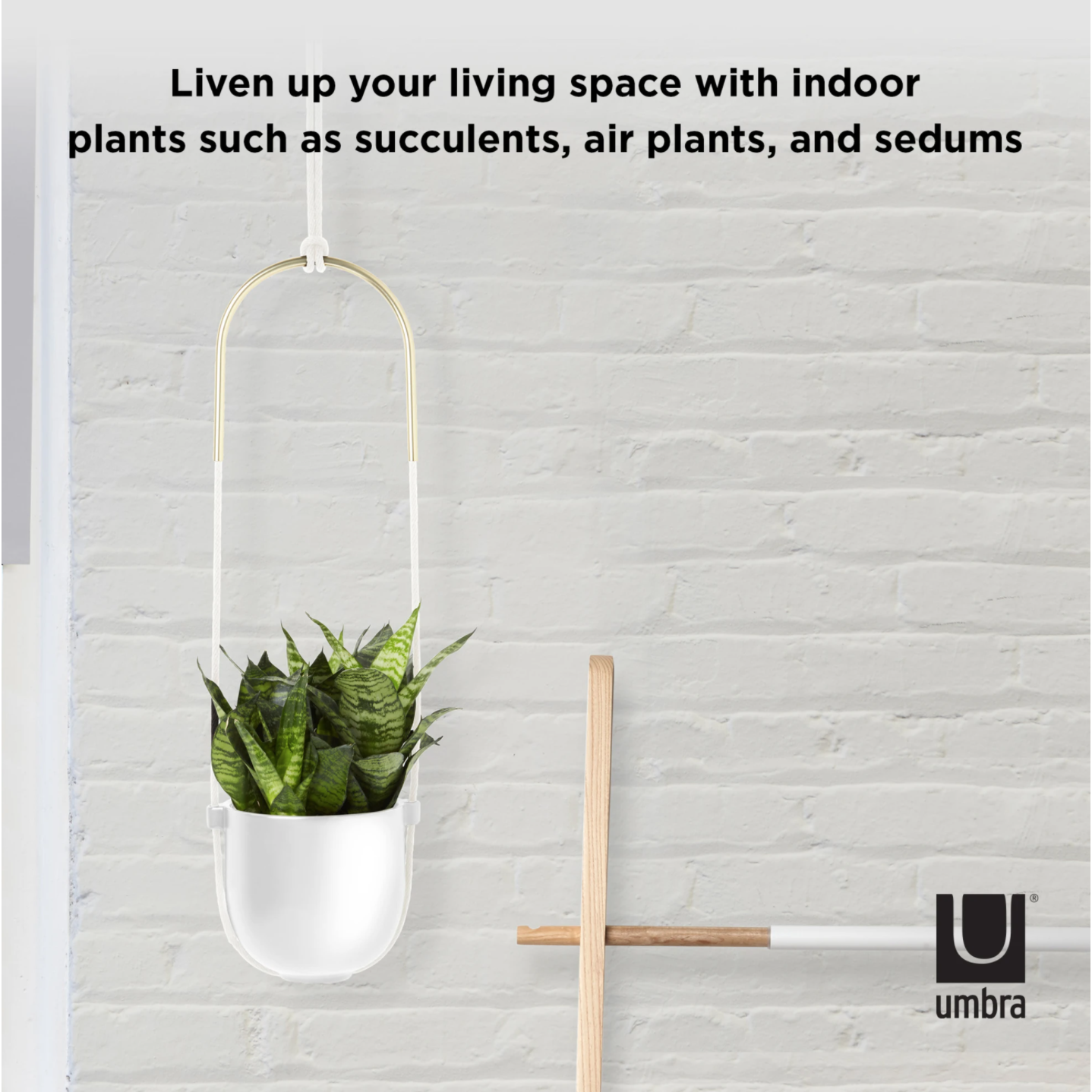 Bolo Hanging & Ceiling Planter