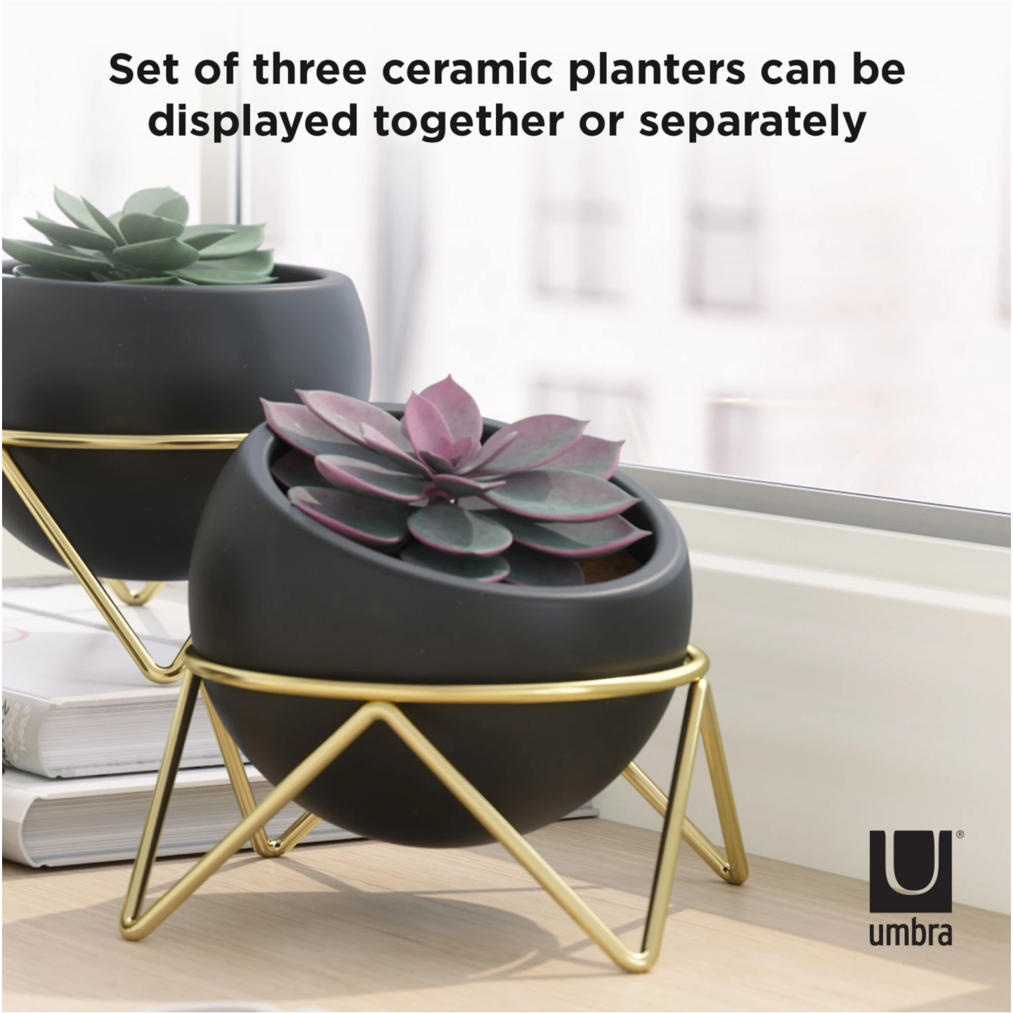 POTSY 3 PACK PLANTER BLACK /BRASS