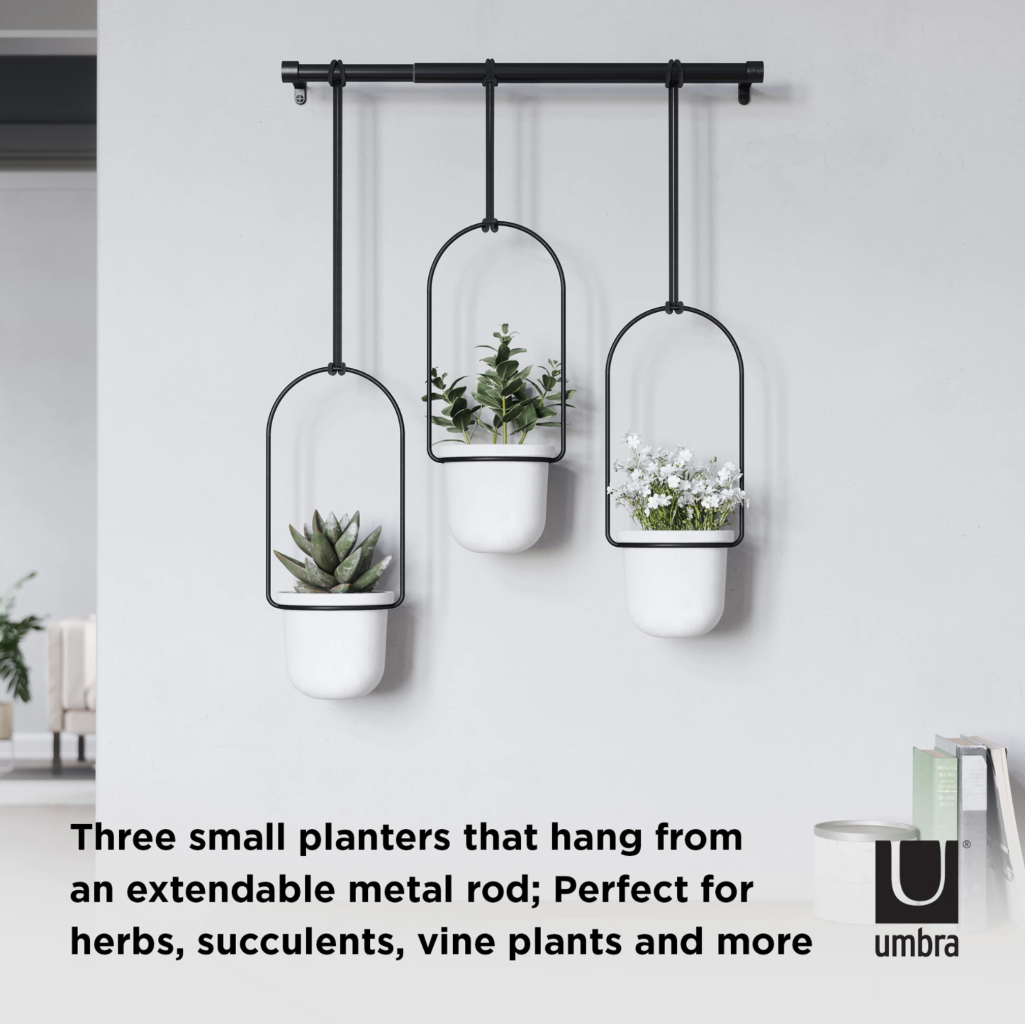 Triflora Hanging Planter System White/Black