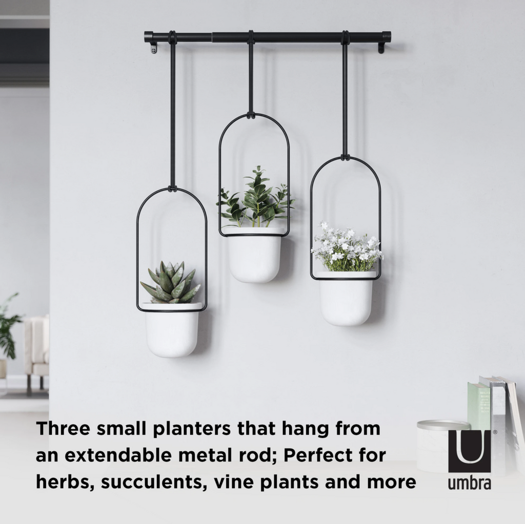 Triflora Hanging Planter System White/Brass
