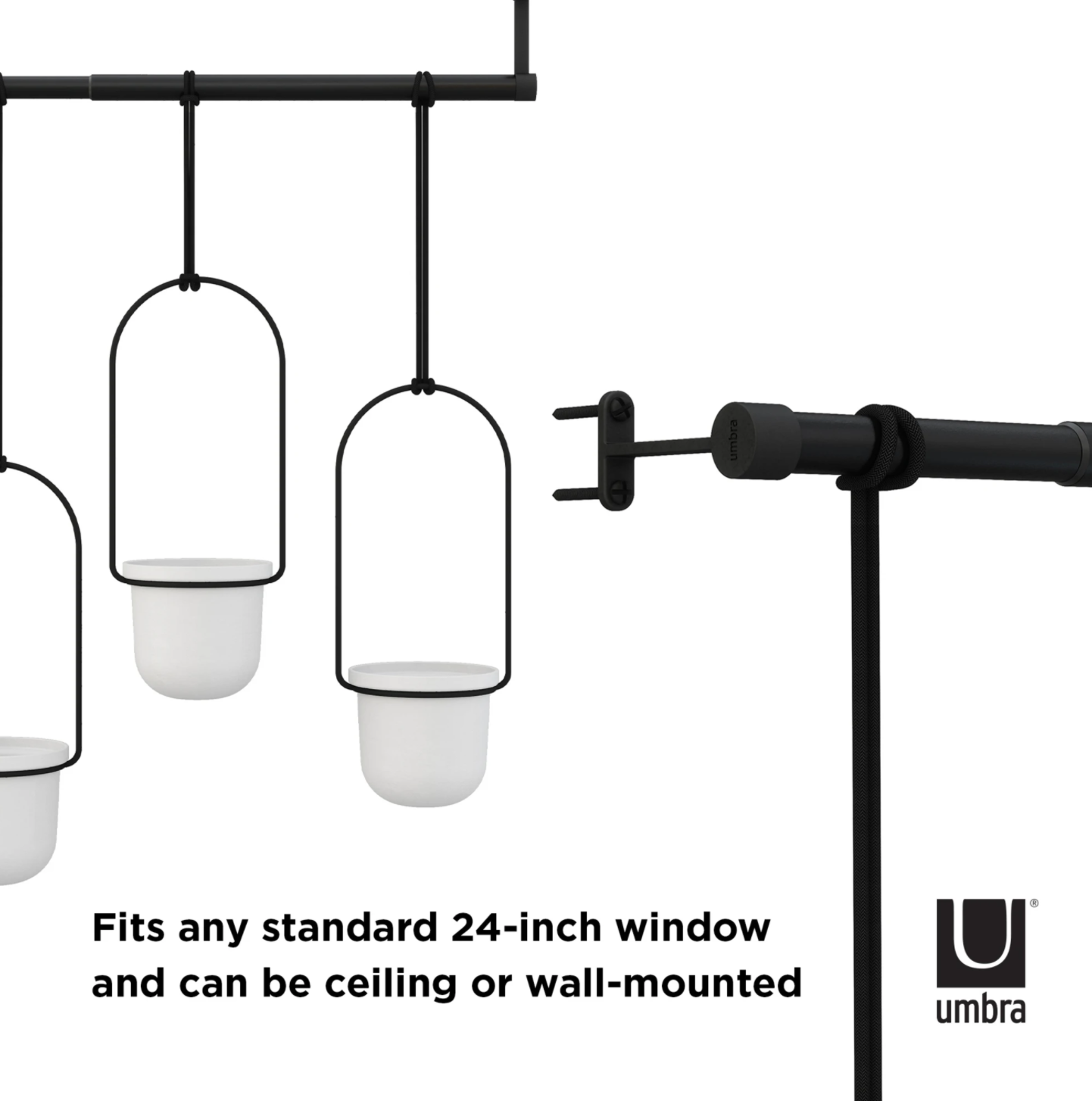 Triflora Hanging Planter System White/Brass