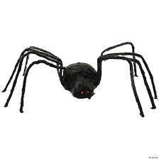 Black Walking Spider