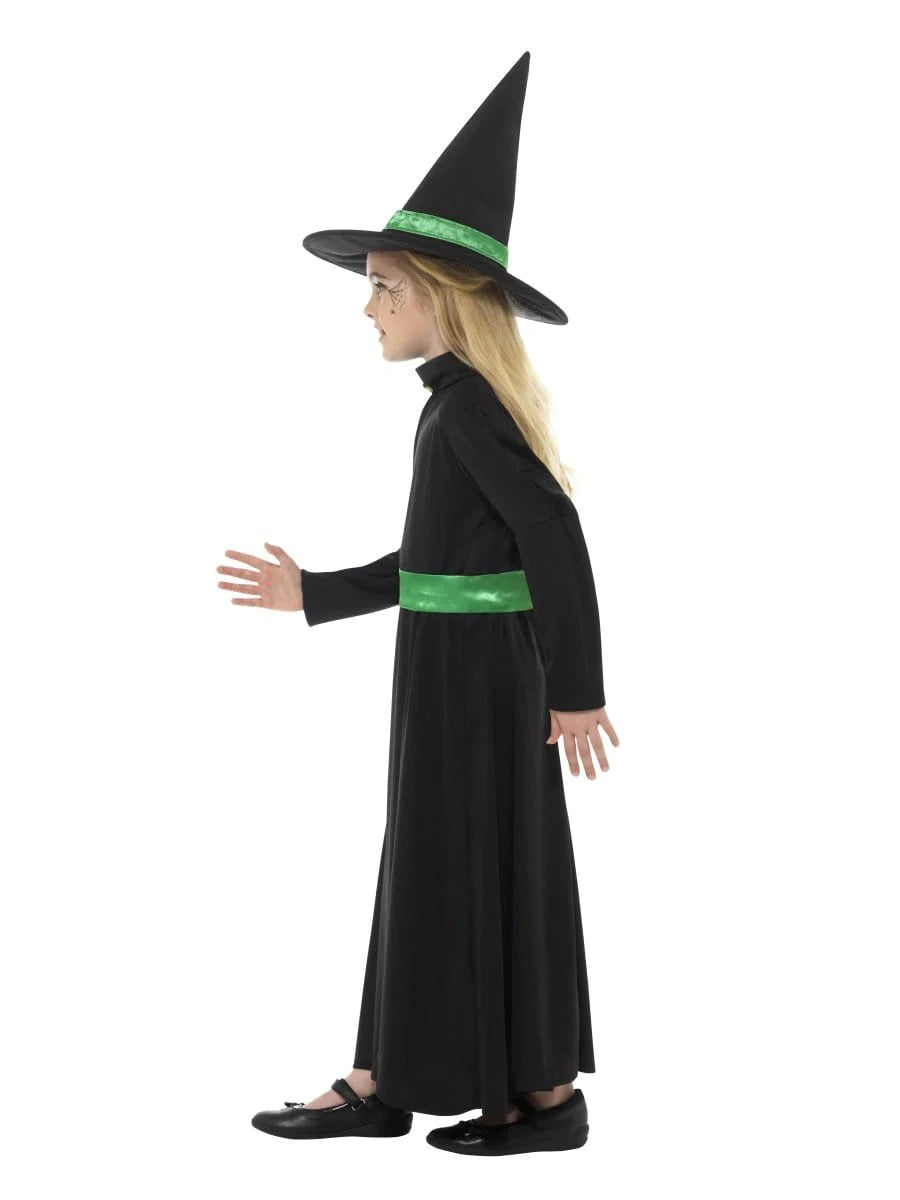 Wicked Witch Costume